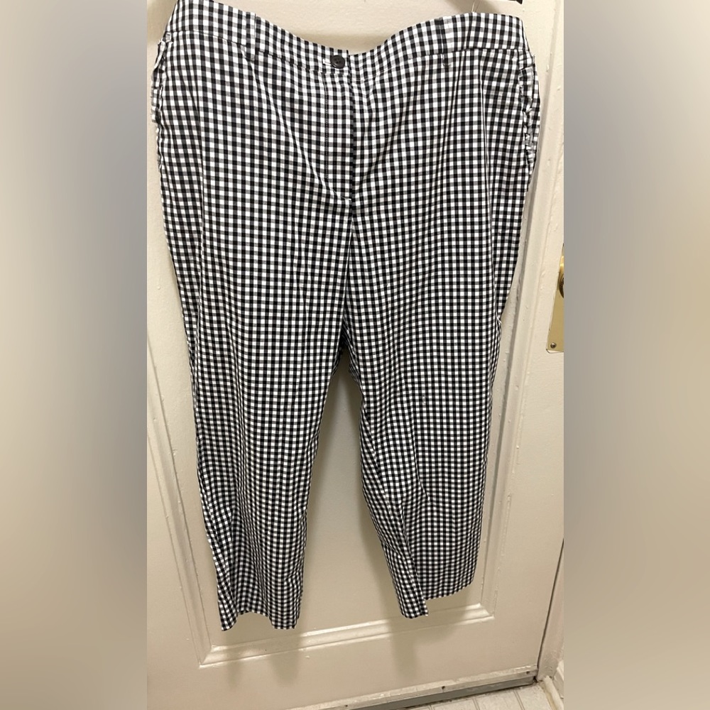 Ann Taylor Curve Fit Dress Pants Size 14